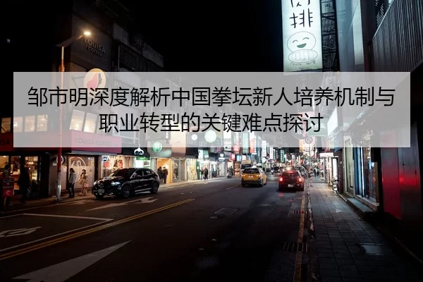 邹市明深度解析中国拳坛新人培养机制与职业转型的关键难点探讨