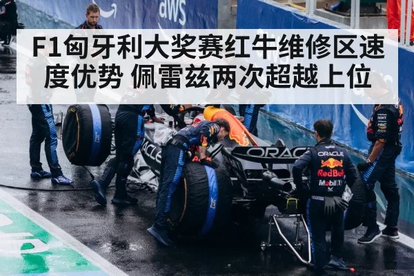 Red Bull F1 pit crew