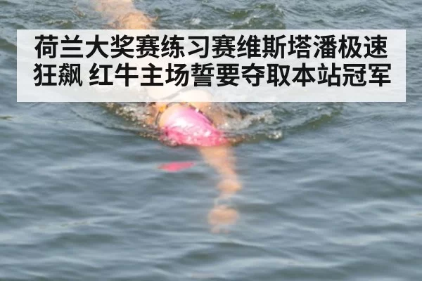 荷兰大奖赛练习赛维斯塔潘极速狂飙 红牛主场誓要夺取本站冠军