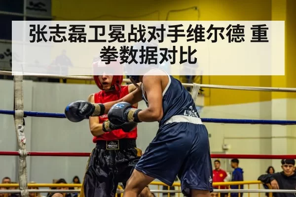 张志磊卫冕战对手维尔德 重拳数据对比